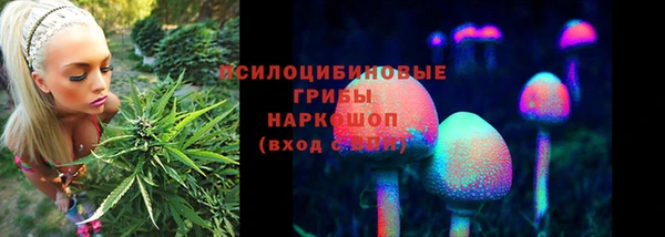 стафф Армянск