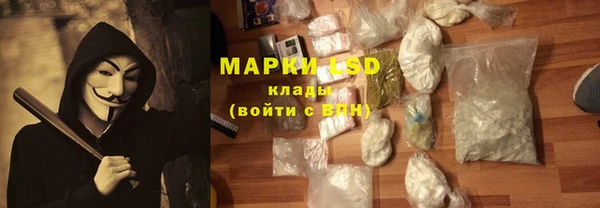apvp Аркадак