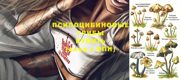 apvp Аркадак