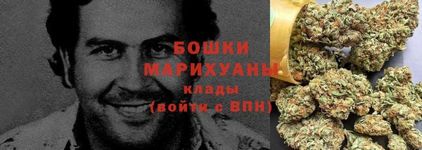 apvp Аркадак