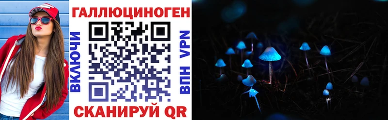наркотики  Всеволожск  Псилоцибиновые грибы мицелий 